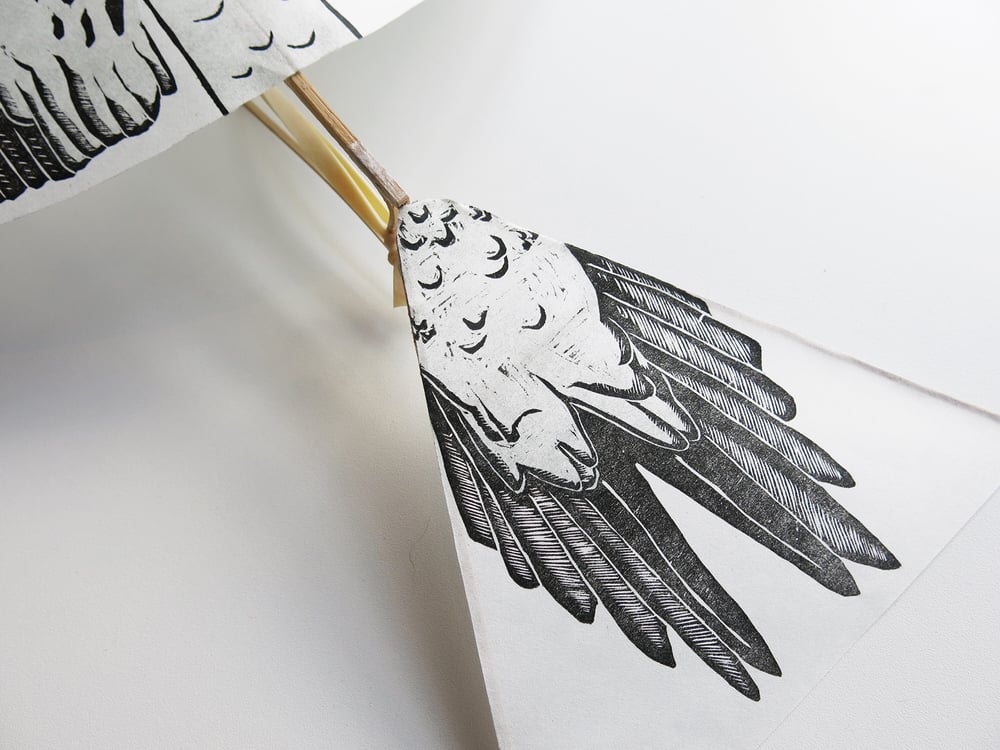 Image of The Flying Martha by Haptic Lab (Artist Edition)