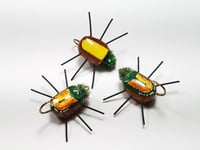 Image of Japanese Beetle Bug