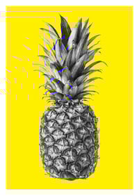 Image 1 of Rainforest Rewild Pineapple - Colour Editions From