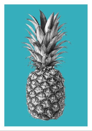 Image of Rainforest Rewild Pineapple - Colour Editions From