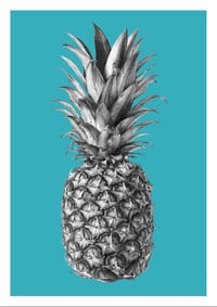 Image 2 of Rainforest Rewild Pineapple - Colour Editions From