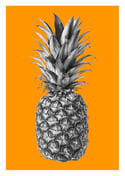 Rainforest Rewild Pineapple - Colour Editions From