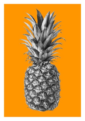 Image of Rainforest Rewild Pineapple - Colour Editions From