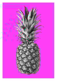 Image 4 of Rainforest Rewild Pineapple - Colour Editions From