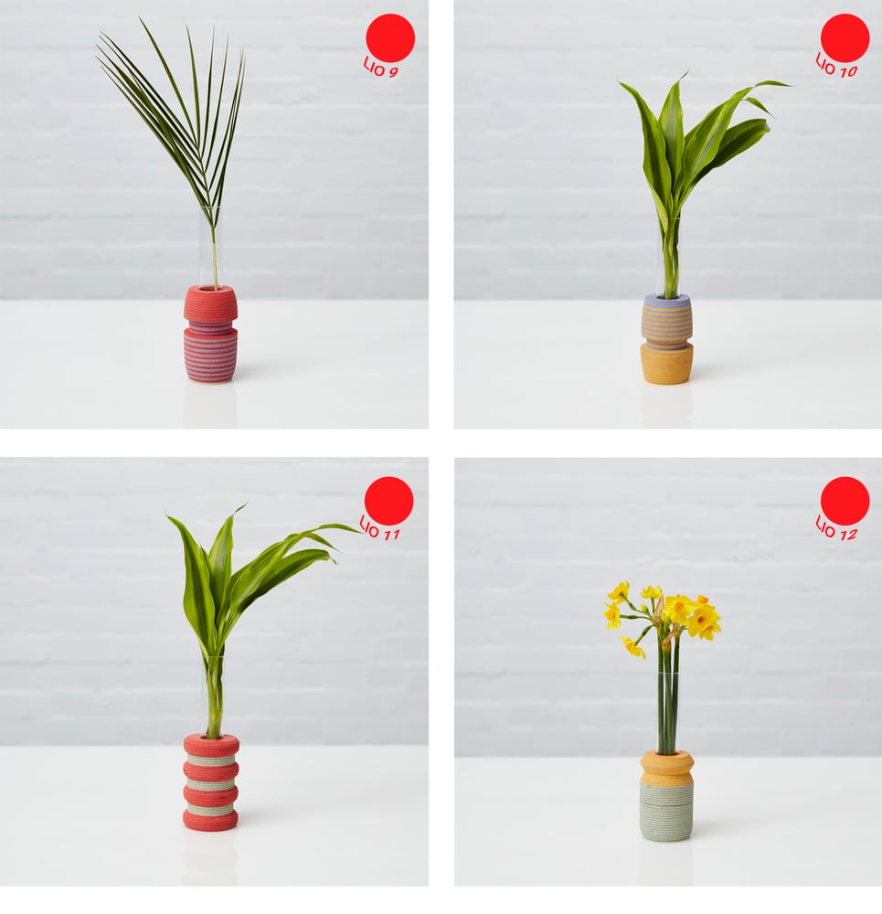 Image of LIO Single Stem Vase