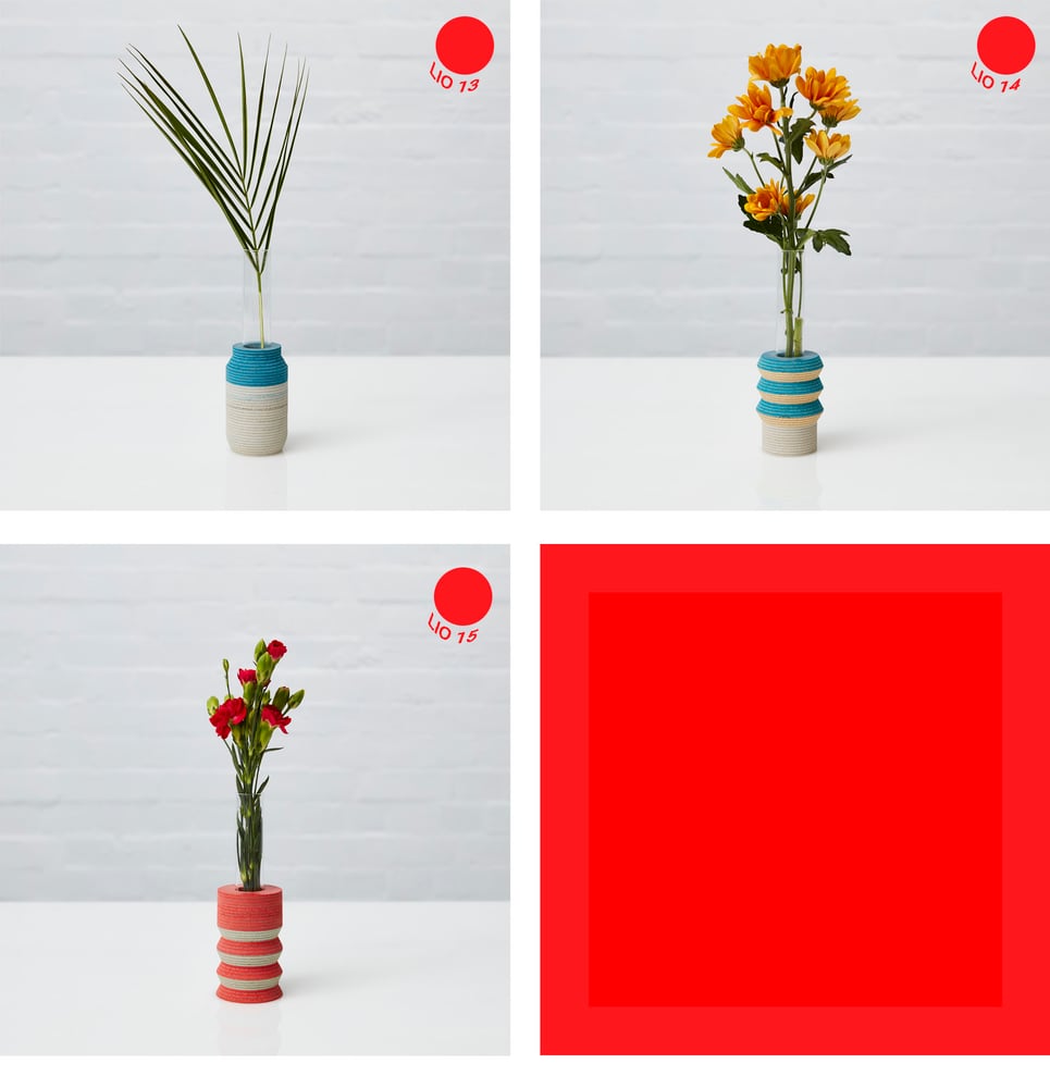 Image of LIO Single Stem Vase