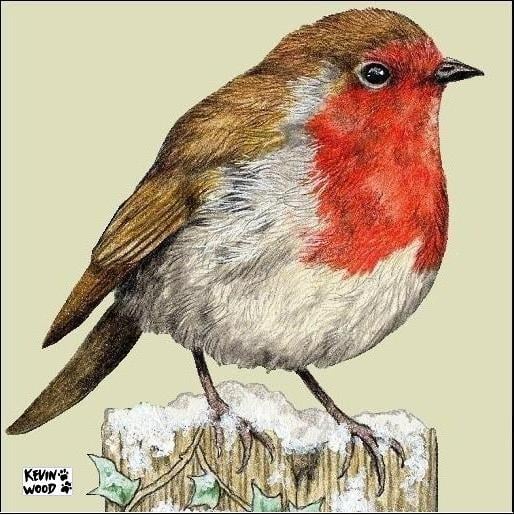 Image of Robin ceramic coaster by Kevin Wood.