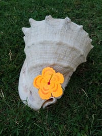 Image 4 of Orange Hibiscus