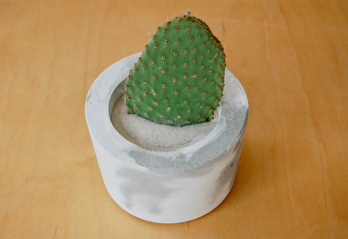 Image of Dreamscape Planter