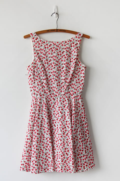 Image of SOLD A Million Roses Dress