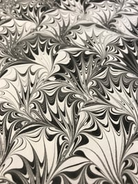Image 1 of Marbled Paper #36 'Black on White Peacock'
