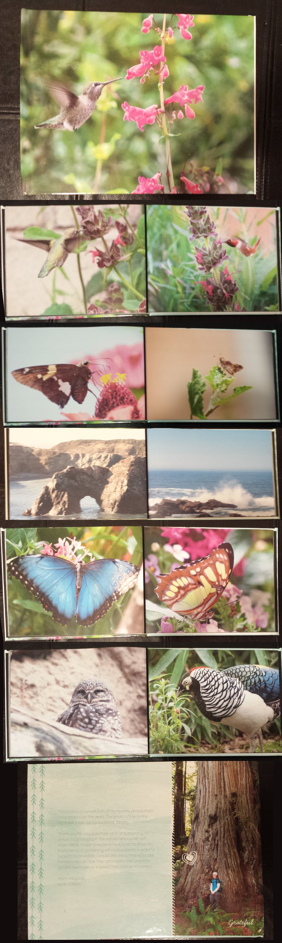 Image of Photography Book