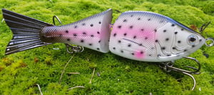 Image of Double dog glide baits (DDG)