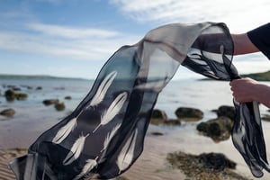 Image of Oystercatcher feather, printed silk chiffon scarf