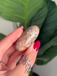 Image 2 of MEXICAN LACE AGATE SHIVA O