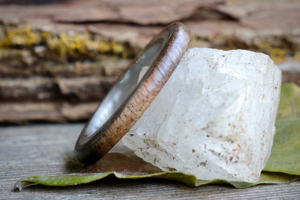 Image of Claro black walnut wood ring