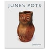 June's Pots - June Lewis