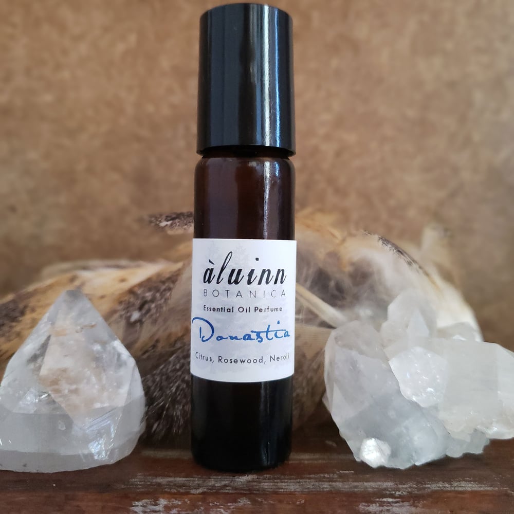 Image of Donastia