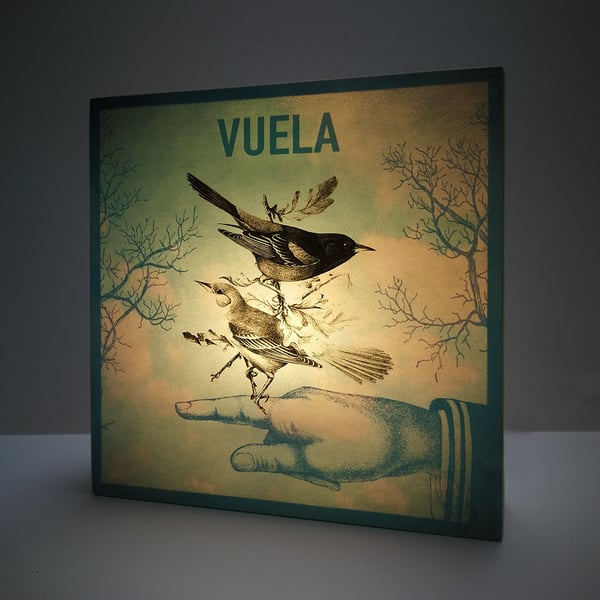 Image of Vuela