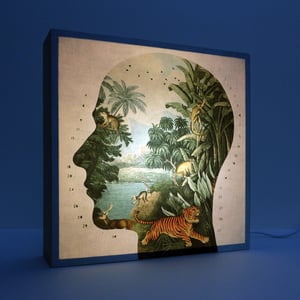 Image of Perfil Tropical 2