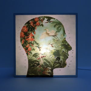 Image of Perfil Tropical 1