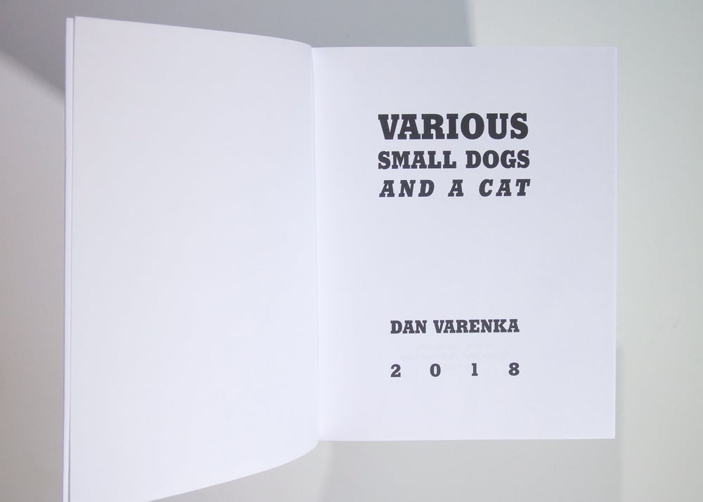 Various Small Dogs - Dan Varenka