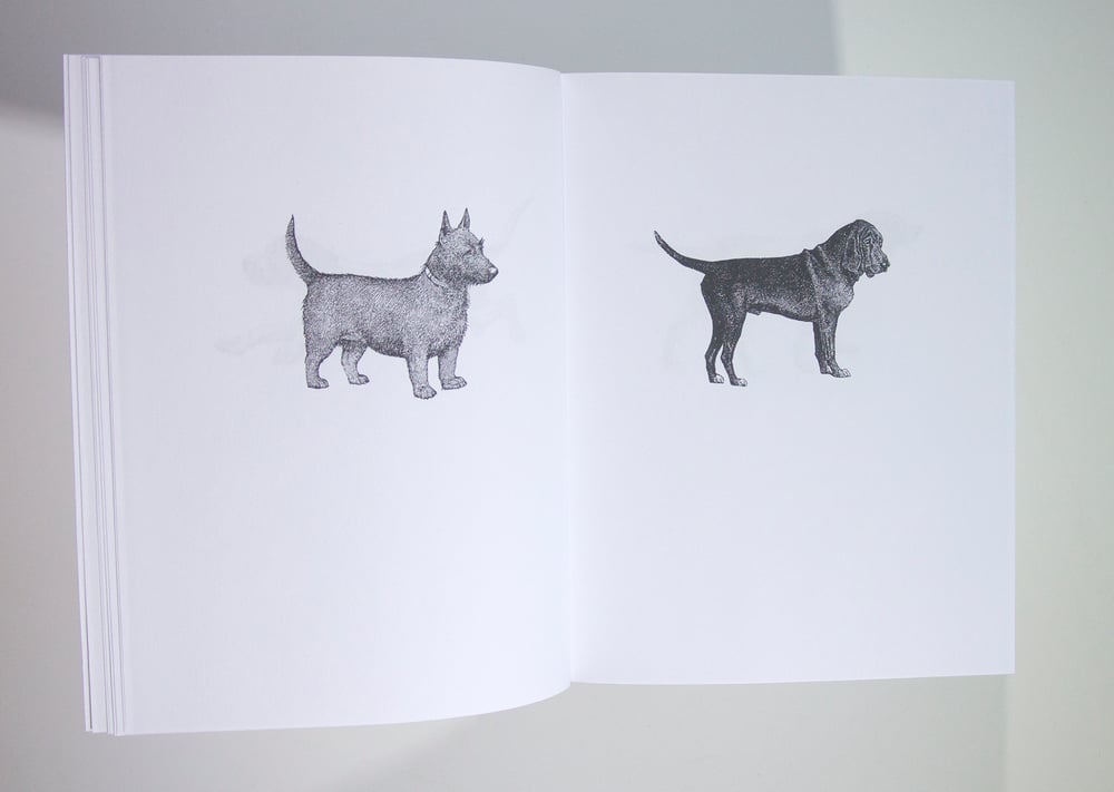 Various Small Dogs - Dan Varenka