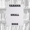 Various Small Dogs - Dan Varenka