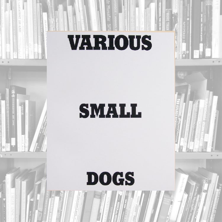 Various Small Dogs - Dan Varenka