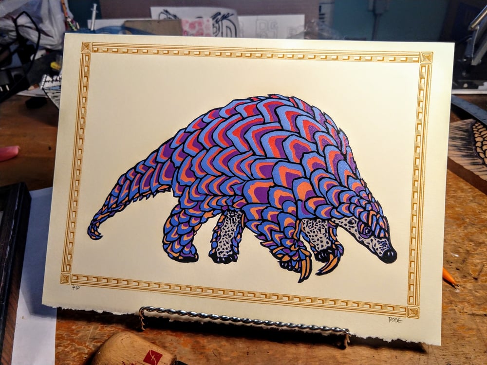 Image of Pangolin Rainbow