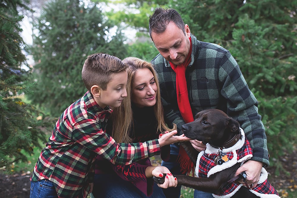Image of Evergreen Mini Sessions, Centennial Park, Park Ridge: Saturday, November 3