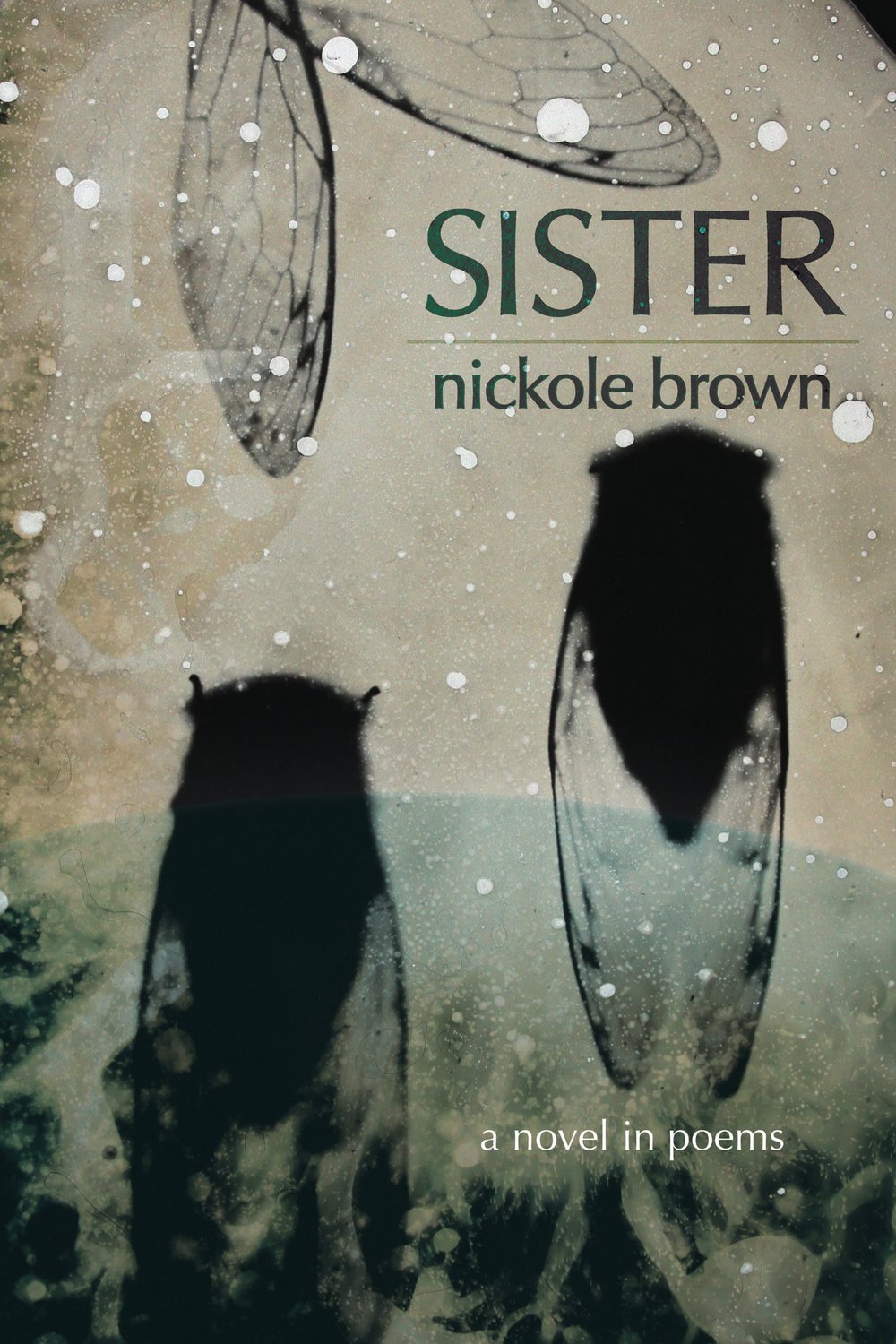 Sister by Nickole Brown