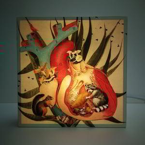 Image of Corazón Mapache