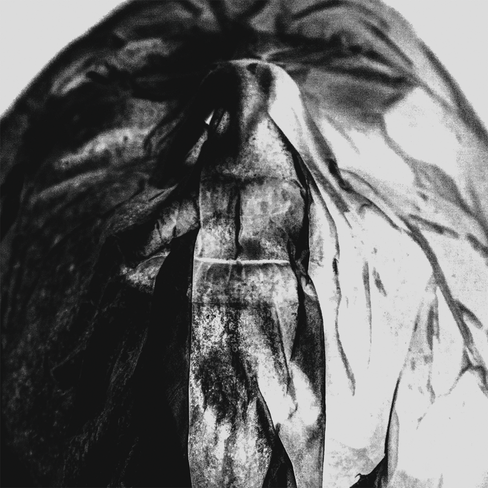 Hord Parallels Lp Avant Records