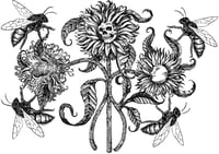 Image 2 of Summer bloom tea towels 
