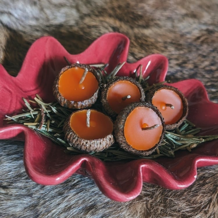 Image of Acorn Candle Set