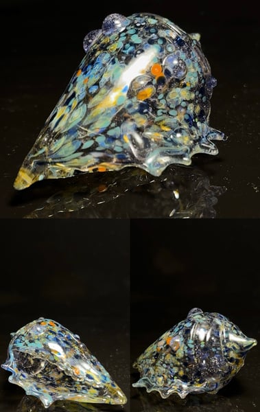 Image of Large Shell 8