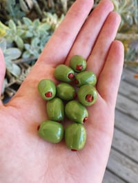 Image 1 of Mini Olive Magnets