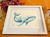 Framed Humpback Whale Watercolour