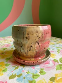 Image 1 of rainbow planter