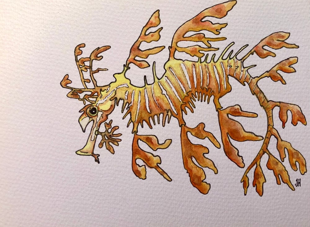 Leafy Seadragon Watercolour Painting