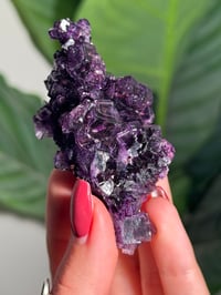 Image 6 of HIGH QUALITY SUGAR COATED PURPLE CUBIC FLUORITE -CHINA-