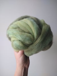 Image 2 of "Green Tourmaline Test" Roving 2oz Spinning, Felting, Fiber Arts Supply, Wool, Silk, Sparkle