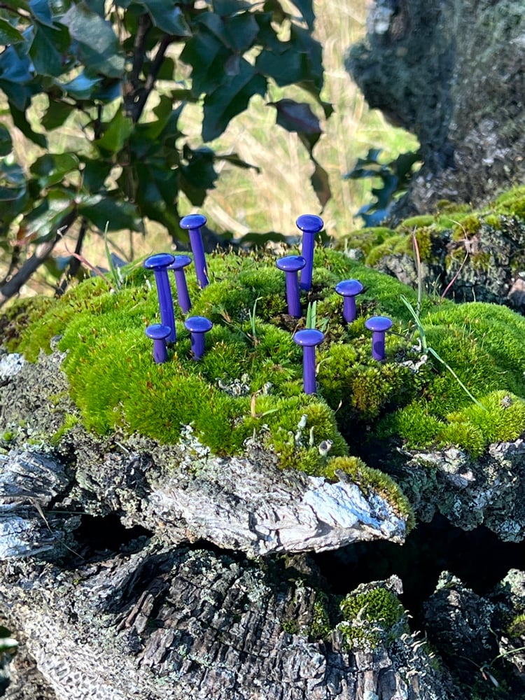 Image of 10 Purple Mushroom Plant Spikes