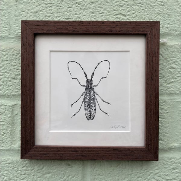 Image of £50 originals - longhorn beetle , pointillism