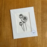 Image 2 of Flower Giclee Prints - Various Designs