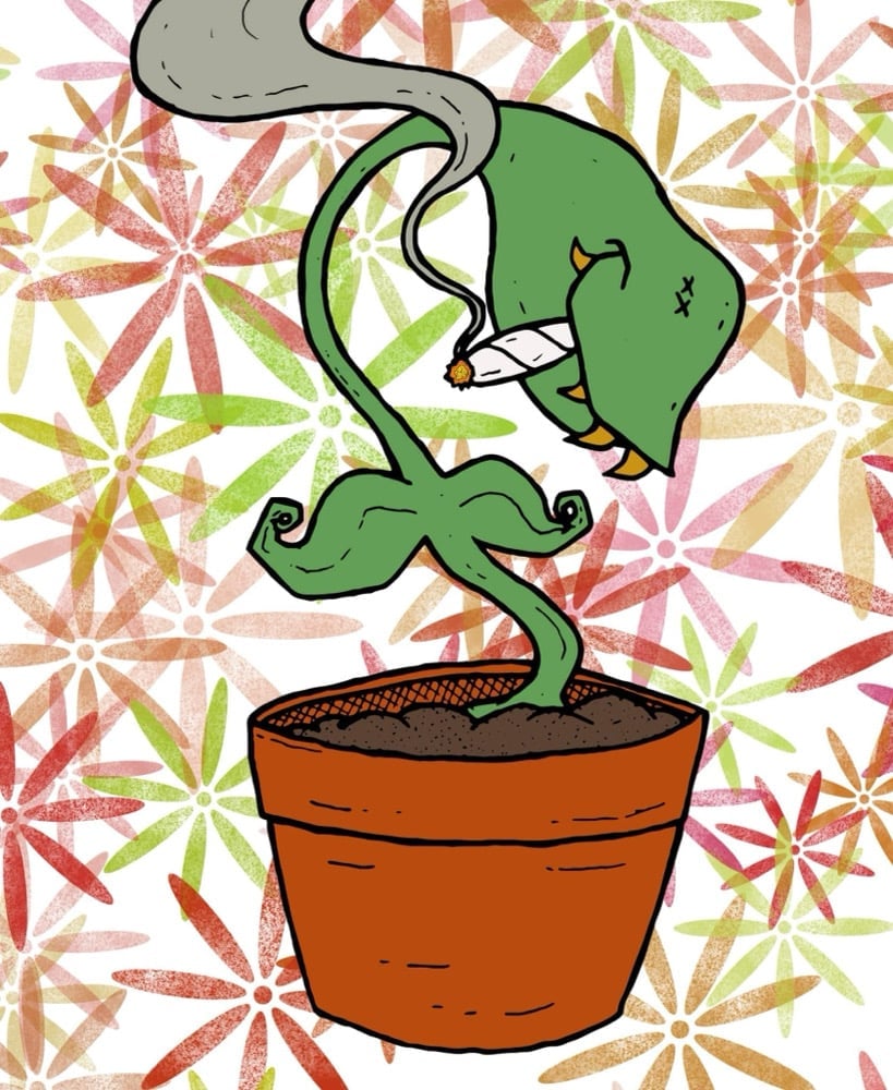 Image of Smoke Me Seymour