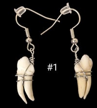 Image 1 of Mini Deer Teeth Earrings