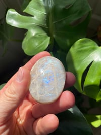 Image 5 of Moonstone Palm Crystal (3)