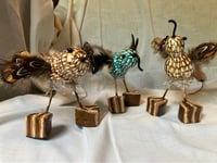 Image 4 of Blue Bird Gourds